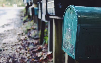 7 Steps To Make Sure Your Mailing List Is Getting Enough Love